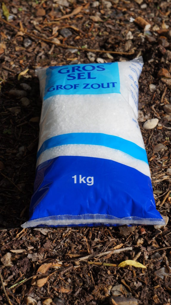 Paquet de gros sel 1kg